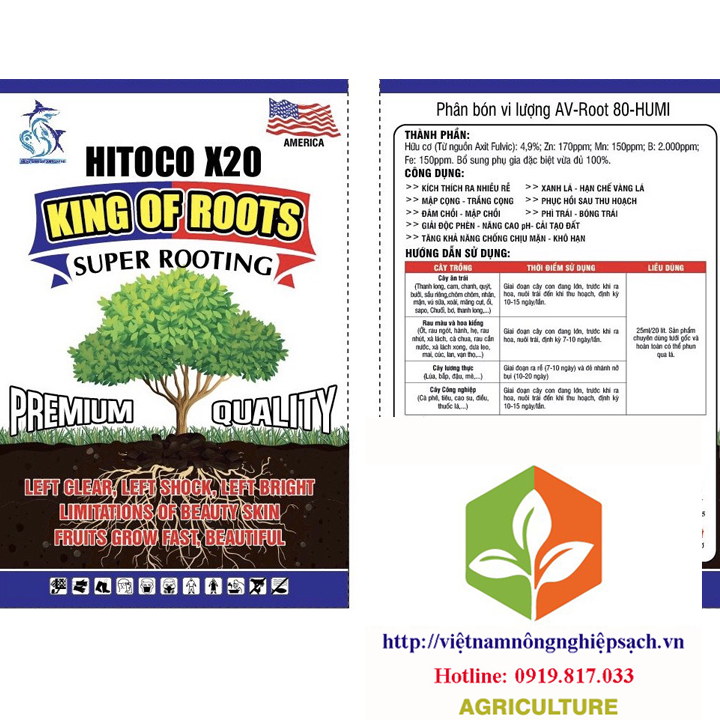 HITOCO X20 KING OF ROOTS